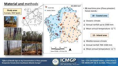 Effect of Needle Age on Hg Concentration in Pinus pinaster Temperate Forests from southwest Atlantic Europe
